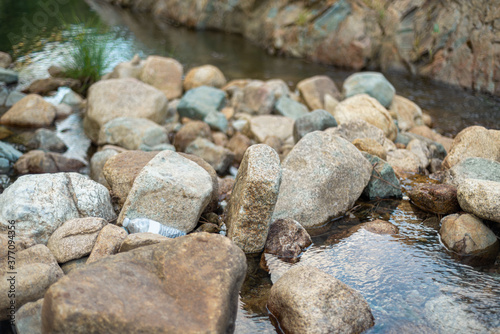 Plastic pollution concept, littered water bottle by mountain stream