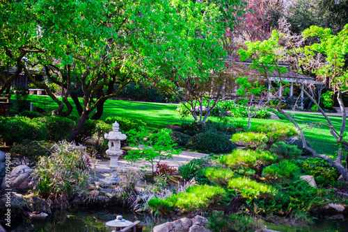 japanese garden pond