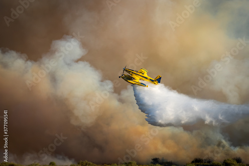 Spectacular hydroplane dropping water over huge fire photo