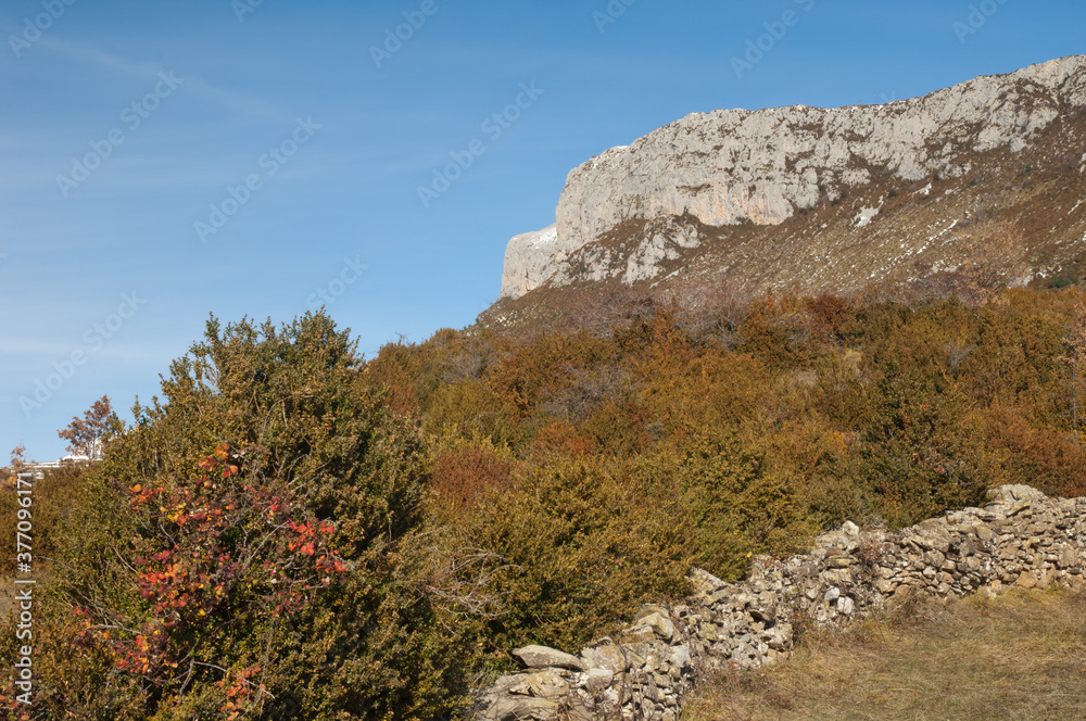 Cliff and shrubland in the Pyrenees of Huesca. Aragon. Spain. Cliff and shrubland in the Pyrenees of Huesca. Aragon. Spain.