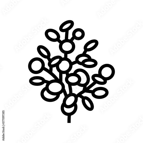 eucalyptus aromatherapy line icon vector. eucalyptus aromatherapy sign. isolated contour symbol black illustration