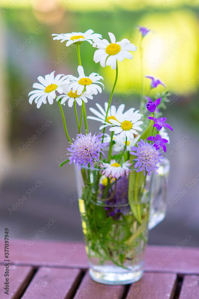 Beautiful bouquet of camomiles and daisies in a glass cup in september