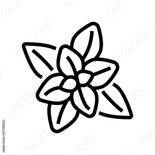peppermint aromatherapy line icon vector. peppermint aromatherapy sign. isolated contour symbol black illustration