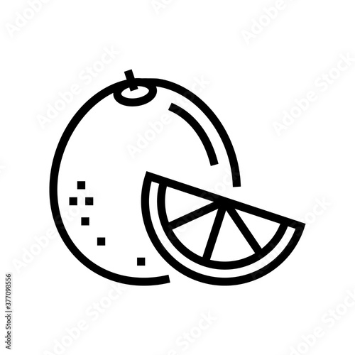 orange aromatherapy line icon vector. orange aromatherapy sign. isolated contour symbol black illustration