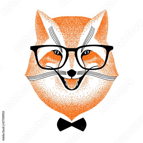face smart red fox in glasses and bow-tie. Fox hipster style. decorative portrait sly fox. Sketch anthropomorphic animal for poster, print or t-shirt.