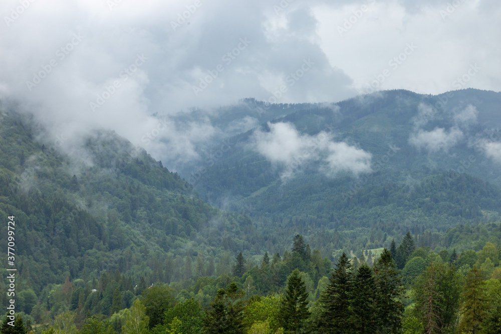 The landscape of the Carpathian mountains covered with forest is shrouded in fog and storm clouds.