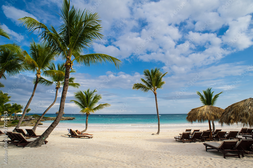Obraz premium Palm trees on the Wild tropical caribbean sand beach in Dominican republic. tranquil resort. Caribbean Sea. sunset time, Seychelles islands