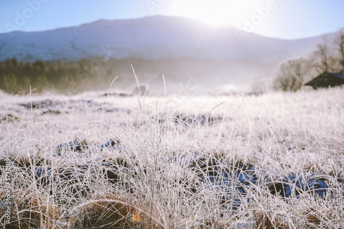 Frozen grass in winter morning,  Kinlocheil, Fort William, Scottish highlands photo