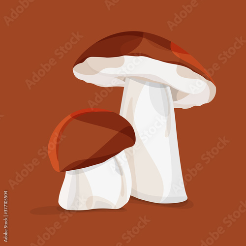 Two brown autumn forest mushroom on a brown background. Vector file.