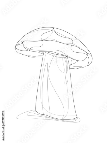 Large autumn forest mushroom. A sketch on a white background. Vector file, black and white.