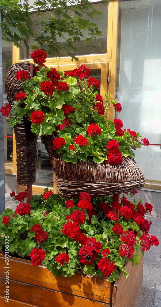 Flowers in a decorative basket