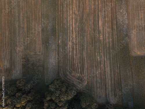 Top down drone view at spring fields. Bird's eye perspective. Abstract background.