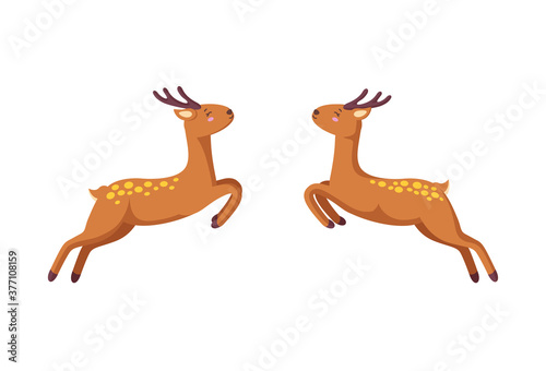Cheerful reindeer jumping to each other. Woodland deer in cute cartoon style. Isolated vector illustration