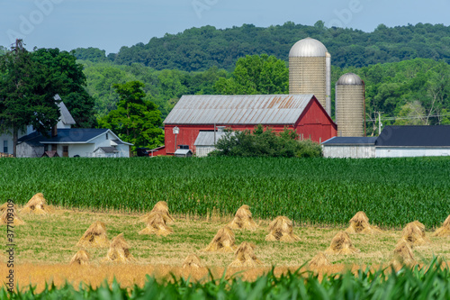 Red Barn in front of Amish / mennonite wheat / barley bails of straw waiting to be thrashed.  Marco and close up photographs.  Holmes County Ohio.  Mid summer harvest of winter wheat