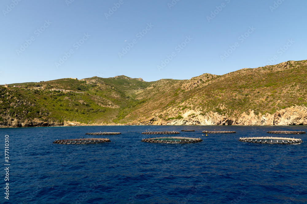 Italy Tuscany Livorno Capraia island, view from the sea, floating fish farms