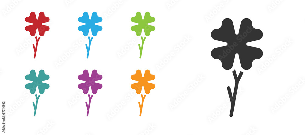 Black Four leaf clover icon isolated on white background. Happy Saint Patrick day. Set icons colorful. Vector.