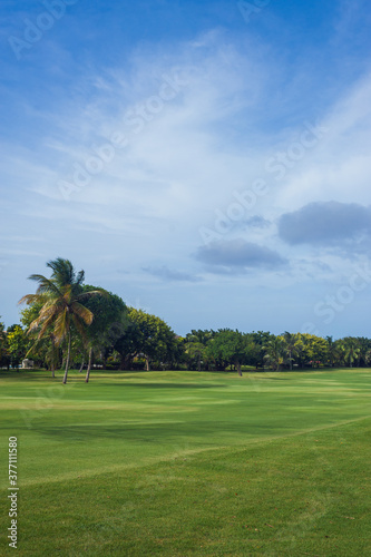 Golf course in Dominican republic. field of grass and coconut palms on Seychelles island. © andreiko