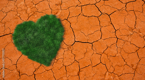 Green heart on dead soil