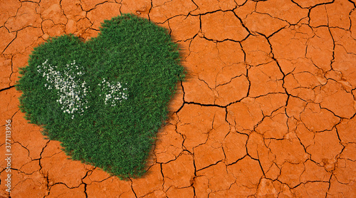 Green heart on dead soil