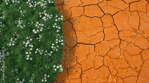 Contrasting dried up soil w...