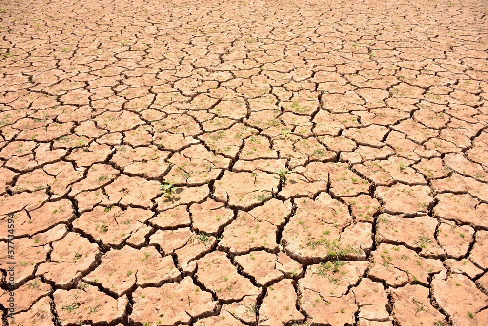 Paisaje con la tierra agrietada debido a la sequía Paisaje con la tierra agrietada debido a la sequía