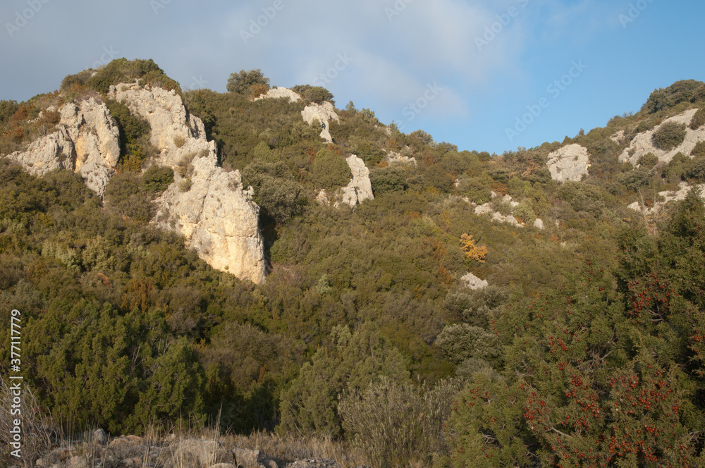 Fototapeta premium Landscape in the Natural Park of the Mountains and Canyons of Guara. Huesca. Aragon. Spain.