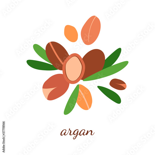 illustration with argan oil. argan berries with leaves. modern abstract design for background, packaging paper, cover, fabric, card, cosmetics and oil