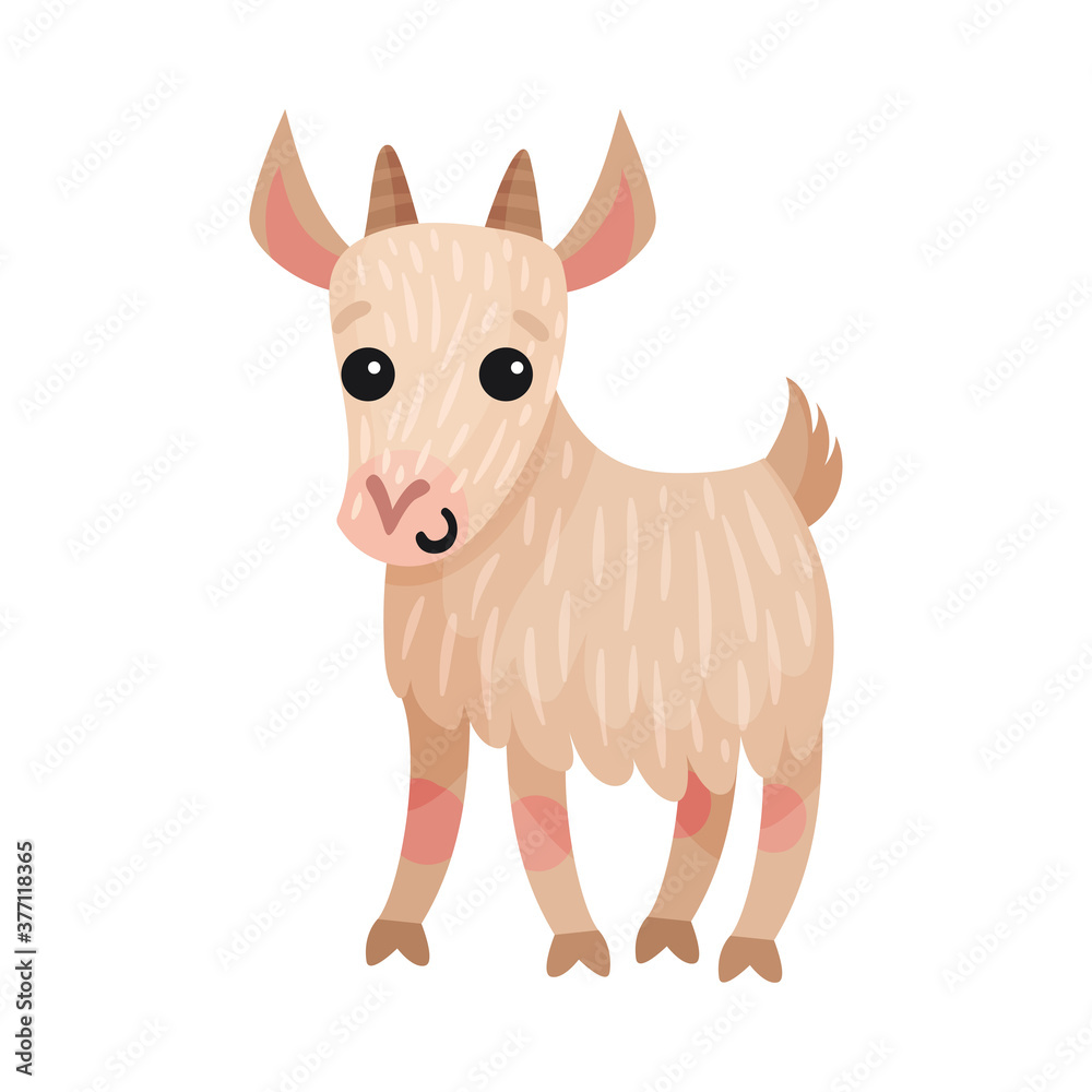 Goat as Farm Animal with Horns Vector Illustration