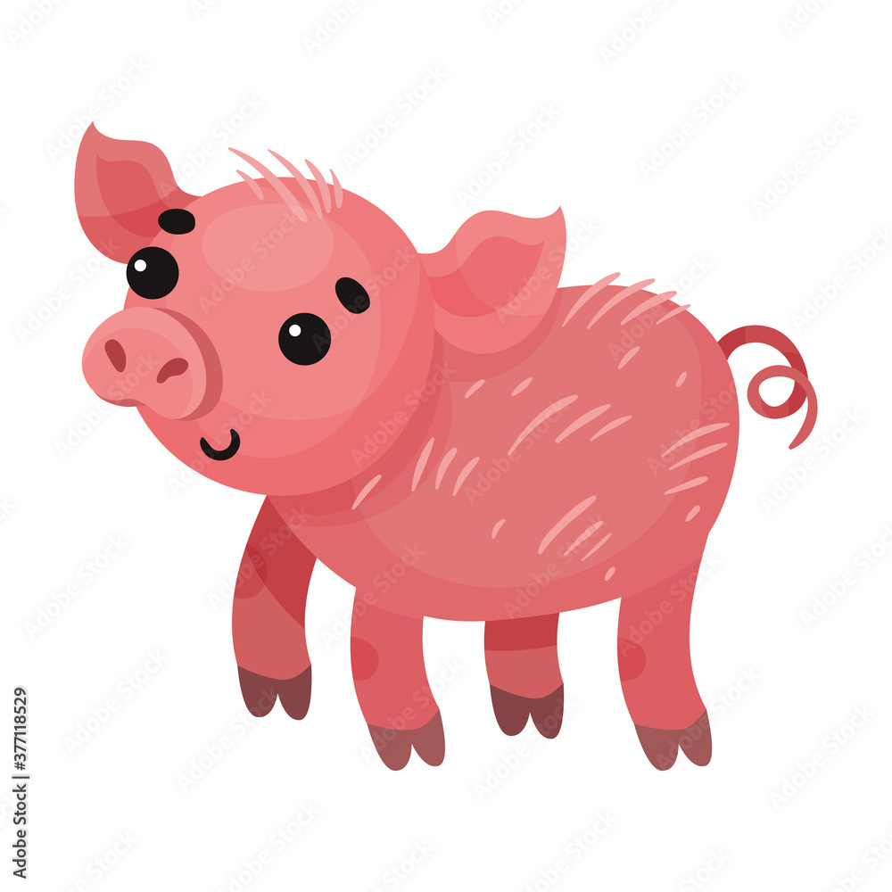 Naklejka premium Pink Pig with Curly Tail as Farm Animal Vector Illustration
