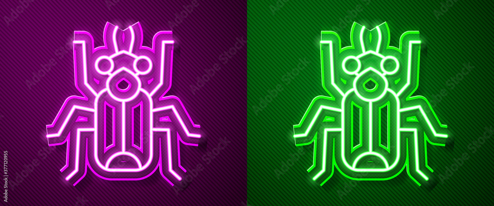 Glowing neon line Beetle bug icon isolated on purple and green background. Vector. Glowing neon line Beetle bug icon isolated on purple and green background. Vector.