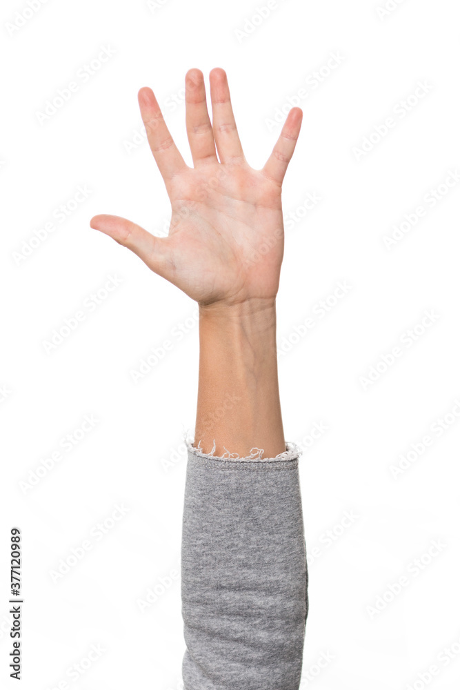 child's hand open on the palm side, white background child's hand open on the palm side, white background