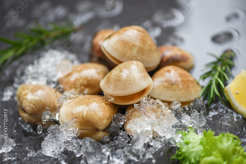 Fresh shell clam with herb ingredients for salad - Seafood shellfish on ice frozen at the restaurant , enamel venus shell , saltwater clams photo