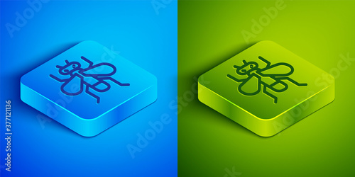 Isometric line Insect fly icon isolated on blue and green background. Square button. Vector.