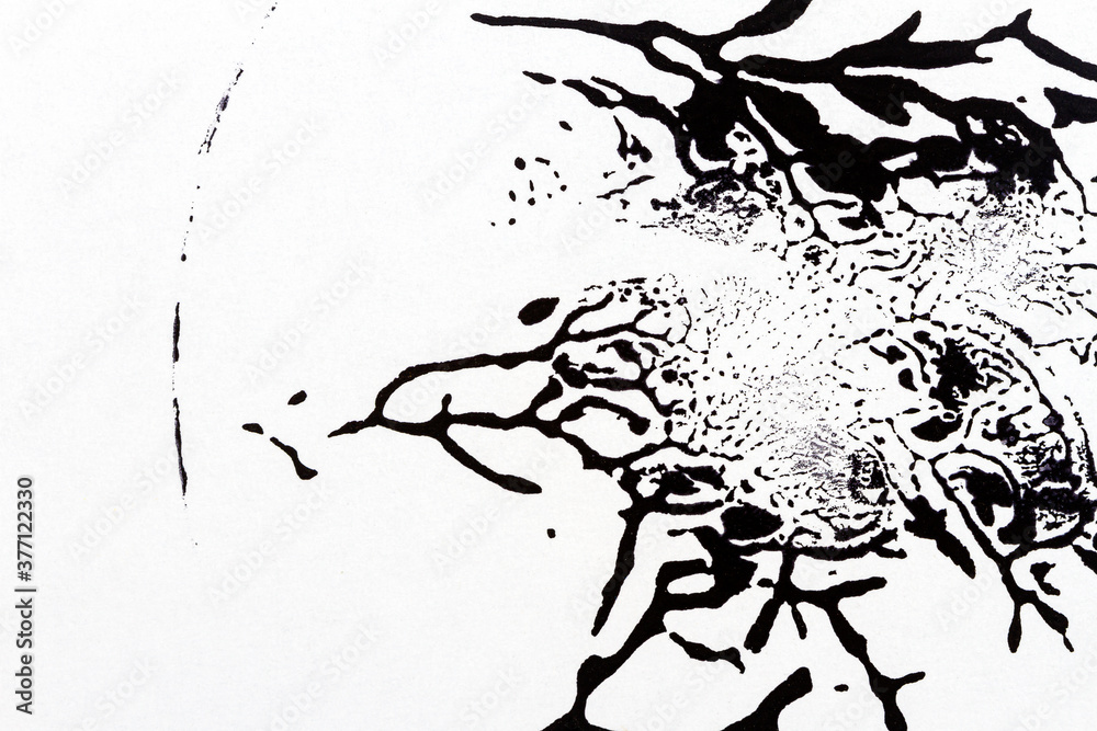Black and white hand painted acrylic background. Black and white hand painted acrylic background.