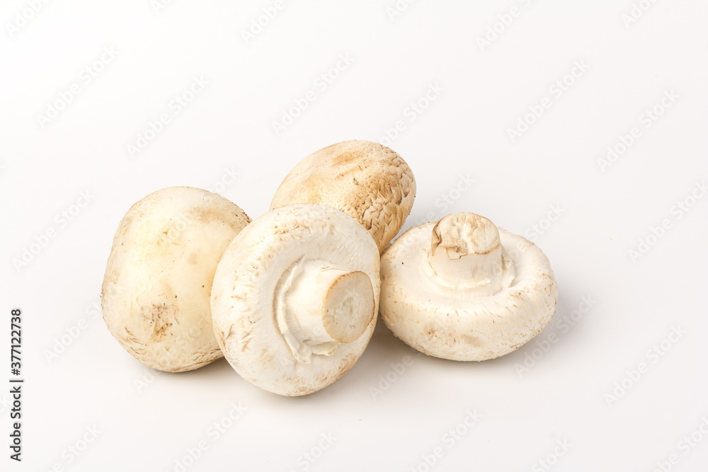 Fresh Champignon mushroom, isolated on white background. Close-up Fresh Champignon mushroom, isolated on white background. Close-up