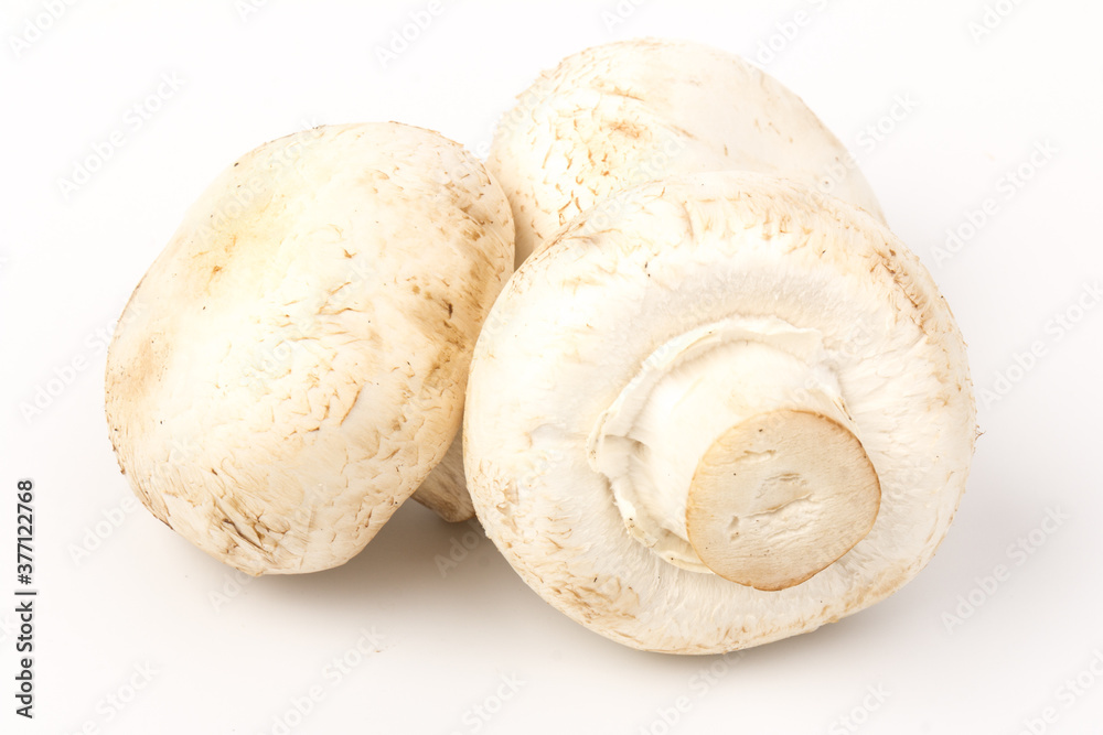 Fresh Champignon mushroom, isolated on white background. Close-up Fresh Champignon mushroom, isolated on white background. Close-up
