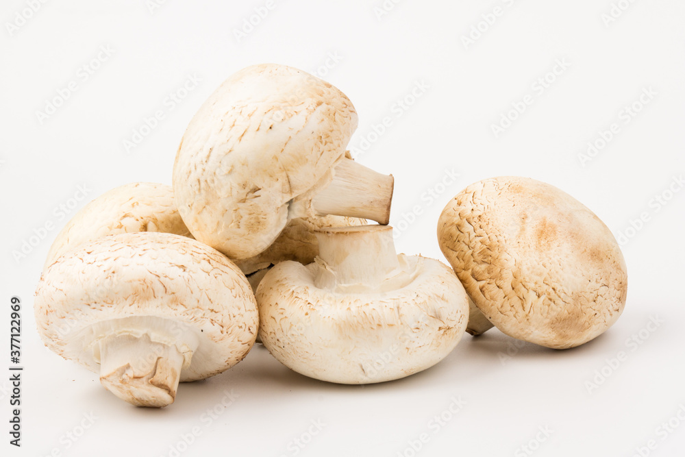 Fresh Champignon mushroom, isolated on white background. Close-up Fresh Champignon mushroom, isolated on white background. Close-up