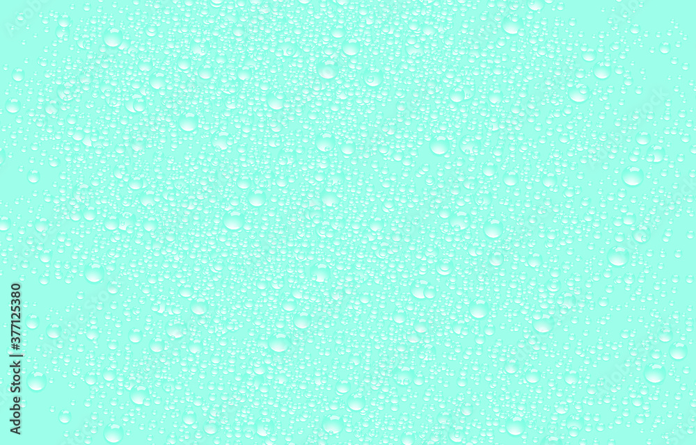 water drops on glass background
water drops on glass background