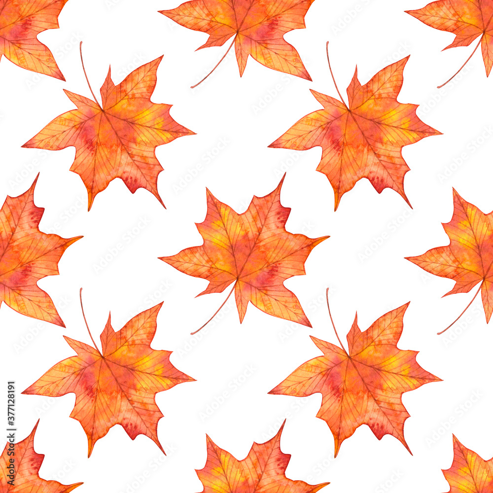 Autumn watercolor seamless pattern with red maple leaves.Hand drawn illustration.Isolated on white background.Seasonal ornament for fabric,textile,wallpaper,wrapping paper,thanksgiving design projects Autumn watercolor seamless pattern with red maple leaves.Hand drawn illustration.Isolated on white background.Seasonal ornament for fabric,textile,wallpaper,wrapping paper,thanksgiving design projects