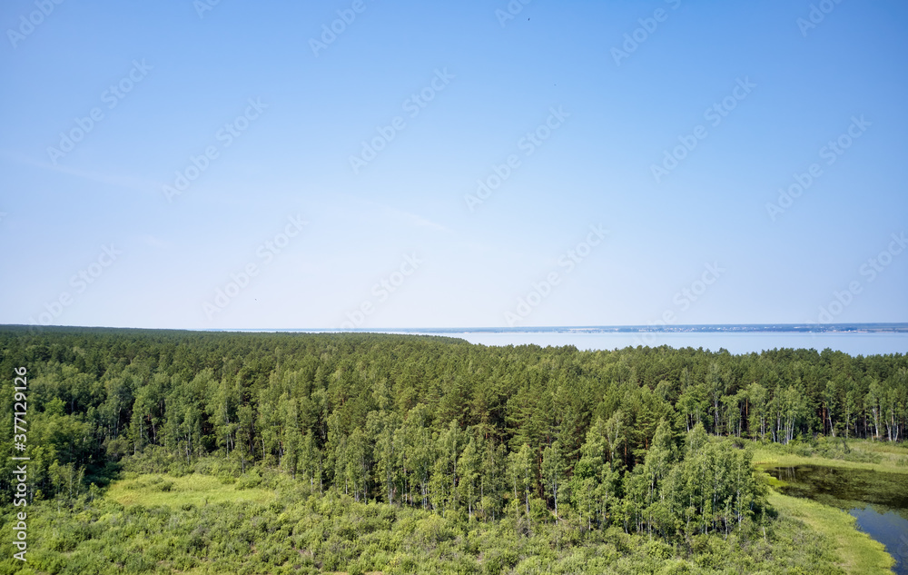 Aerial photo of forest bog in the Karakansky pine forest near the shore of the Ob reservoir. Aerial photo of forest bog in the Karakansky pine forest near the shore of the Ob reservoir.