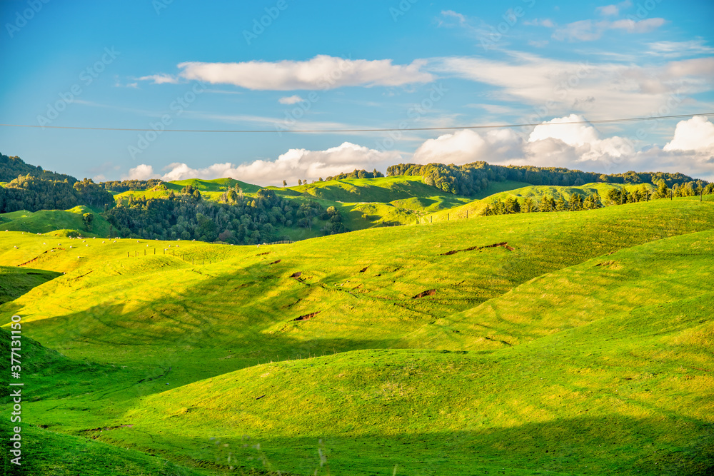 Amazing colors of New Zealand Hills in Spring