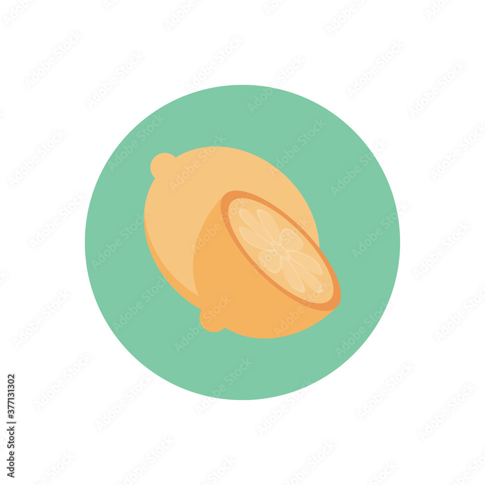 citrus citrus