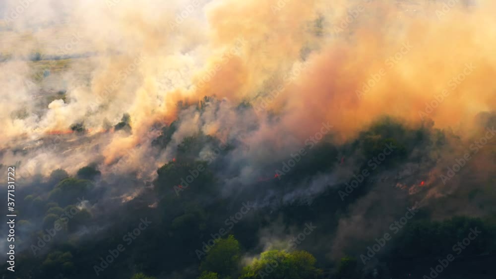 Summer wildfire or fire in nature with smoke, aerial view from drone. Burning dry grass and trees. Natural disaster in forest in dry season. Summer wildfire or fire in nature with smoke, aerial view from drone. Burning dry grass and trees. Natural disaster in forest in dry season.