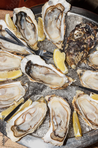 Party at the restaurant. A plate with oysters and ice. Celebration. Luxury concept.