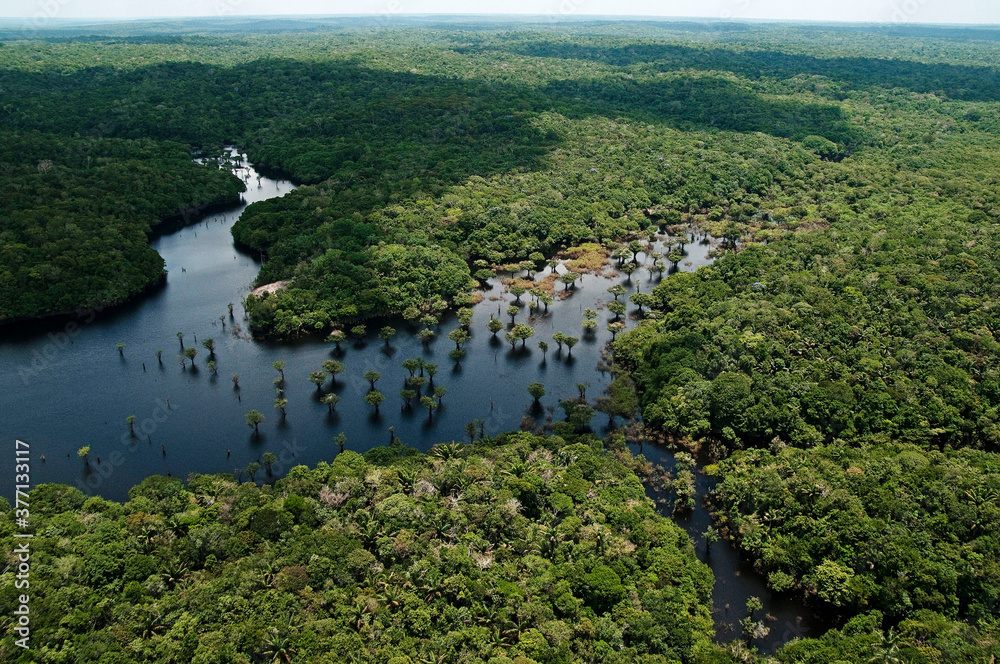 Vista aérea de igarapé na floresta amazônica