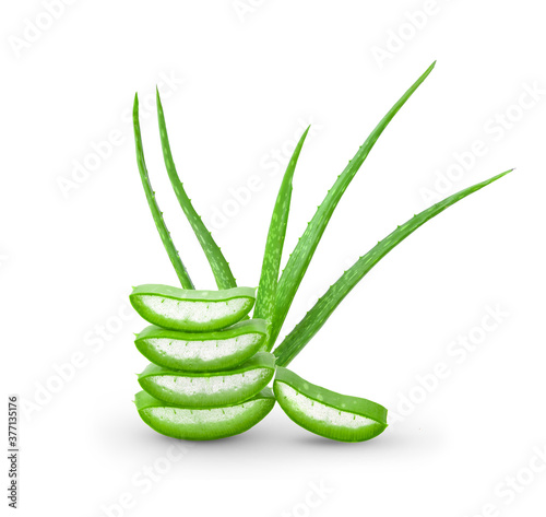Aloe vera on White background