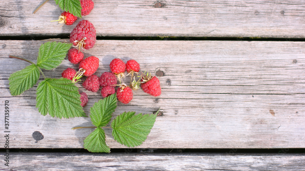 Raspberries on a wooden background. Photo with copy space. Top view of ripe berries Raspberries on a wooden background. Photo with copy space. Top view of ripe berries