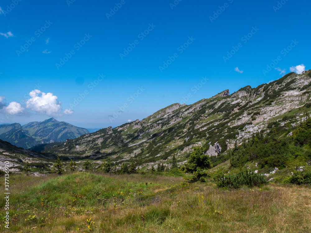 Beautiful scenic view of the Alp mountains with  green grass and blue sky.