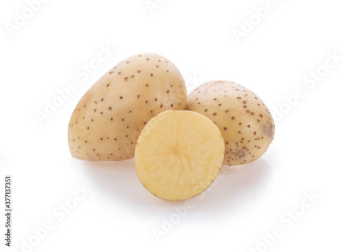 Potato root on whited background