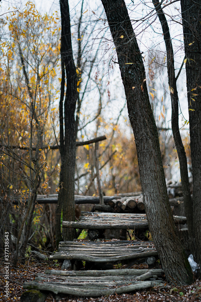 Old wooden footbridge in the forest near the river. Autumn landscape with yellow leaves, bare bushes and a log structure. Old wooden footbridge in the forest near the river. Autumn landscape with yellow leaves, bare bushes and a log structure.